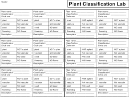 Plant Classification Lab Students Categorize Plants Based