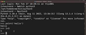 run python code terminal s