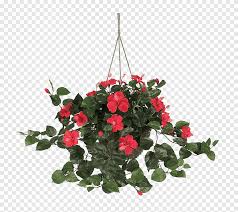 Hanging Flowers Png Images Pngegg