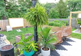 Outdoor Plants For Patio Outdoor Living