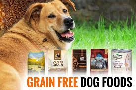 Best Grain Free Dog Food Review And Buying Guide 2019 Pet