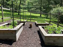 How To Build Raised Garden Beds On A