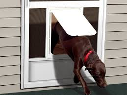 Pet Doors Screen Door With Pet Door Dog