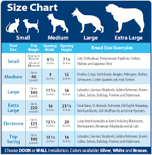 37 Skillful Cat Height And Weight Chart