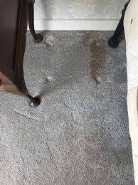 carpet cleaner and upholstery cleaning