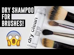 dry shoo for makeup brushes