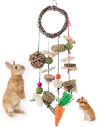 rabbit chew toy guinea pig chinchilla