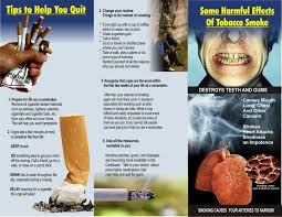 Quit Smoking Brochure Quit Smoking Pamphlet Examples Google Search