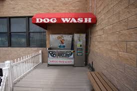 Get rest and stay hydrated. K9000 Dog Wash San Angelo Tx Self Serve Pet Wash On Waymarking Com