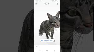 3d cat models download , free cat 3d models and 3d objects for computer graphics applications like advertising, cg works, 3d visualization, interior design, animation and 3d game, web and any other field related to 3d design. Google 3d Animals L Cat Youtube