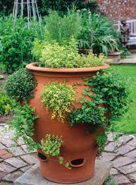 Container Herb Garden Herb Garden Pots