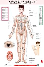 Us 16 79 45 Off Standard Meridian Points Of Human Wall Chart Female Acupuncture Massage Point Map Flipchart Hd 3 Chinese And English In Massage