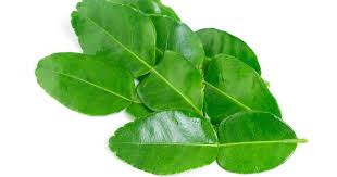 233 easy kaffir lime leaf recipes for a
