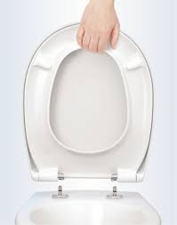 Toilet Seat Removable With
