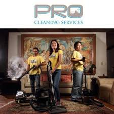 the 10 best carpet cleaners in manila