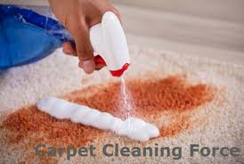 can professional carpet cleaning remove