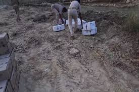 मधुबनी में खेत में छुपायी गयी थीं शराब की 4000 बोतलें। पढ़ें पूरी  खबर....... - News Today Jharkhand