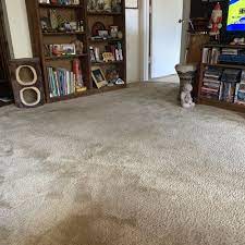 top 10 best rug cleaning in tucson az