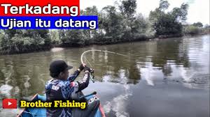 Karena biasanya memancing kakap putih / barramundi ini dilakukan sore atau malam. Ujian Saat Mancing Kakap Putih Di Muara Youtube