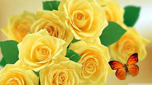 Yellow Roses and Butterflies Ultra HD ...