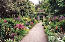 irish garden flower garden