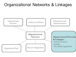 Organizational Structure Ppt Video Online Download