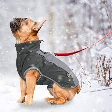 Small Dog Coats For Winter Waterproof