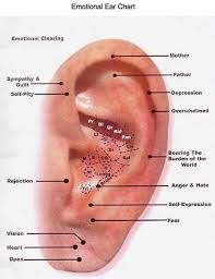 Emotional Ear Chart Reflexology Can Be Applied To More Than