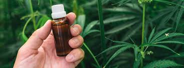 It is one of 113 identified cannabinoids in cannabis plants, along with tetrahydrocannabinol (thc). Wie Wirksam Sind Cbd Ole Wirklich Mdr Jump