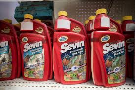 can sevin be used indoors pests101 com