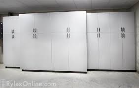 Basement Storage Cabinet Basement