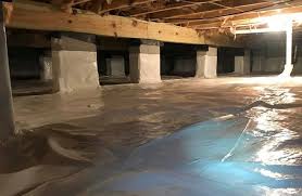 moisture control services in