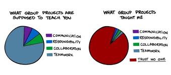 What Do You Learn From Group Projects