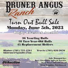 bruner angus ranch turn out bull