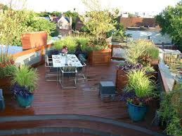 Roof Deck Gardening Maintenance In