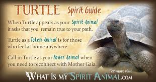 Animal mammal gopher information, facts, pictures and puzzles (image information for kids). Turtle Symbolism Meaning Spirit Totem Power Animal Animal Totem Spirit Guides Turtle Symbolism Turtle Spirit Animal