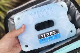 the 6 best ice packs for coolers of