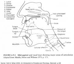 Disambiguating Place Vs Manner Of Articulation Linguistics