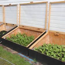 cold frames for a raised garden bed