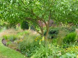 adding trees to your garden