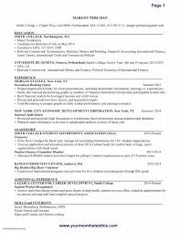 Resume Examples For Retail With No Work Experience Inspirational