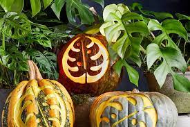 Pumpkin Carving Patterns Templates