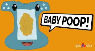 Baby Poop Whats Normal What Aint With Pictures