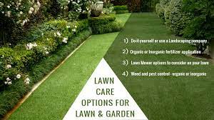 Texas Lawn Care Options For Your Lawn