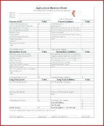 Excel Checking Account Template Balance Sheet Bank