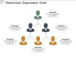 Hierarchical Organization Chart Ppt Powerpoint Presentation
