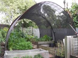 Shade Garden Ideas Planning Great Home