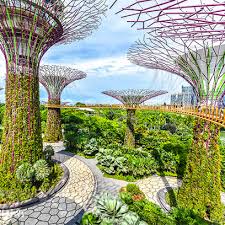 Singapore Garden By The Bay Rmg Tours