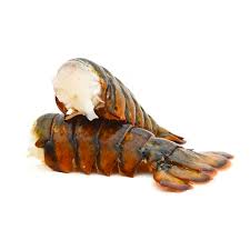 frozen raw canadian lobster tail s