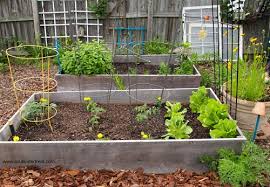 Growing Your Own Backyard Garden Worth